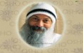 /album/i-nostri-percorsi/osho-image-60-jpg/