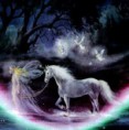 /album/ego-immagini/unicorno-fate-jpg/